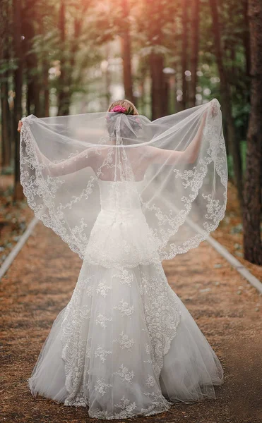 Hermosa boda vestido blanco largo velo en el parque. Vista trasera — Foto de Stock