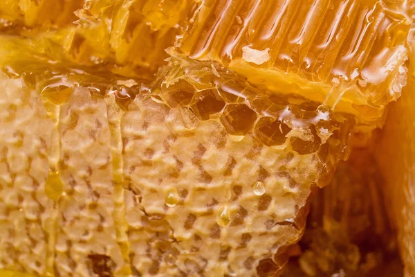 Полный и вкусный медовик крупным планом — стоковое фото
