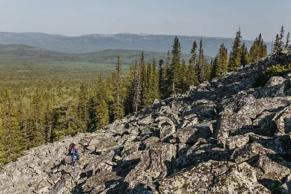 Mountain tajgan i östra Sibirien. Sluttningarna av Putorana platå täckt med lärk. — Stockfoto