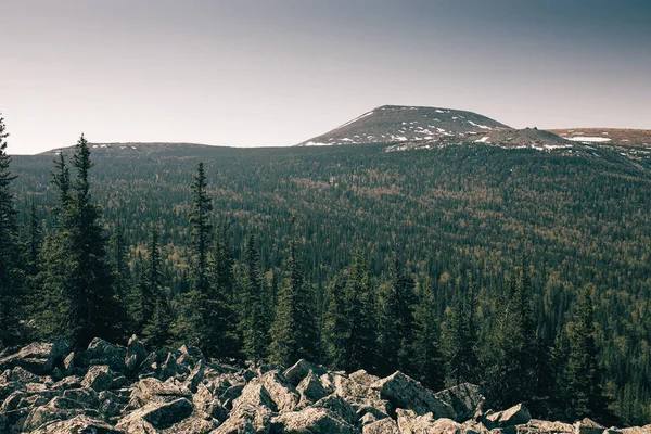 Tundra in the mountains on a cloudy day. South Ural mountain Iremel.