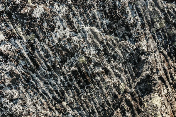 Texturou pozadí abstraktní kamene s lišejníky s brázdami starobylé ledovce — Stock fotografie