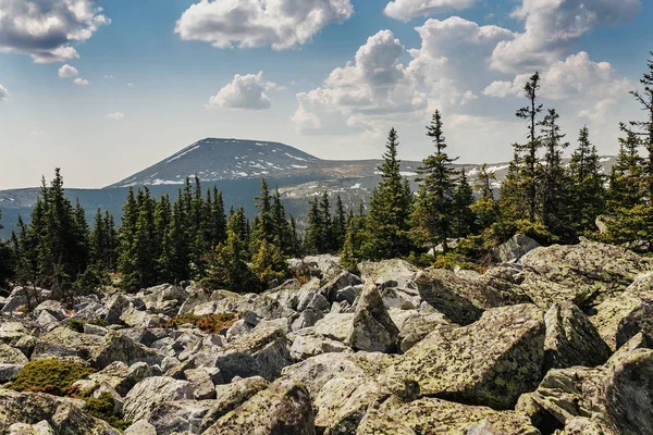 Tundra egy felhős napon a hegyekben. Dél-Ural hegység Iremel. — Stock Fotó