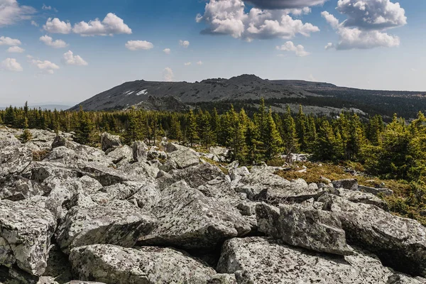 Våren träd i skogen och snötäckta berg i fjärran. — Stockfoto