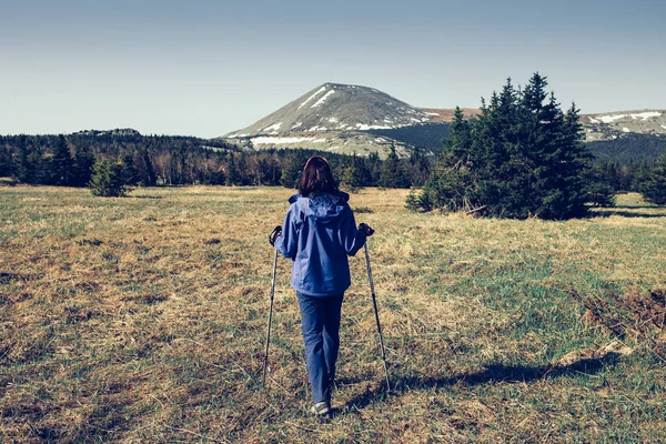 Femme voyageuse de retour dans les bois dans les montagnes — Photo