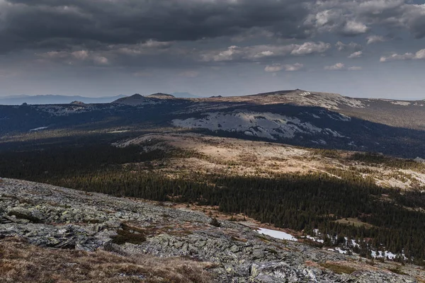 Ural Taiga Selva silvestre de primavera de coníferas — Foto de Stock