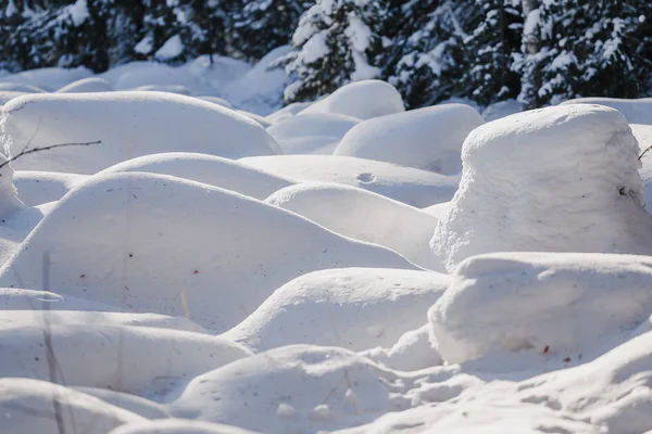 Forêt d'hiver avec hummocks et dérives de neige — Photo