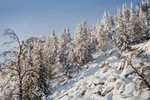 Hermoso paisaje de invierno con abetos de nieve en polvo fresco, cielo azul con luz solar y altas montañas alpinas en el fondo —  Fotos de Stock