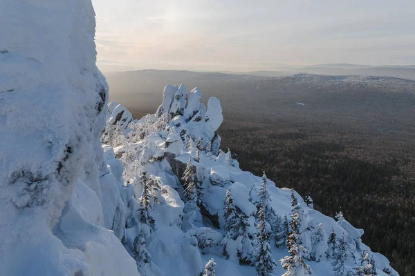 Skalnatý vrchol čedičové sloupky pokryty sněhem, zimní les v pozadí. — Stock fotografie