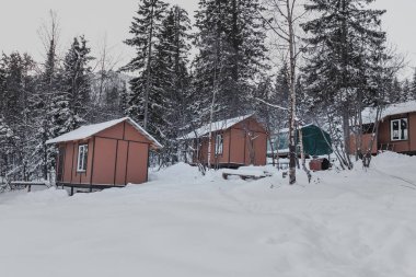 turist sığınak ya da hostel karlı bir ormandaki küçük bir ahşap ev