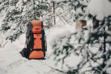 seyahat sırt çantası kış orman içinde. Çapraz işlemi filtre eklendi.