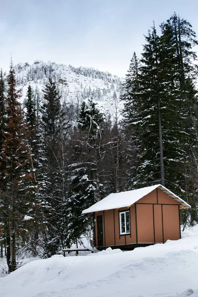 A small wooden house of tourist shelter or hostel in a snowy forest — Stock Photo, Image