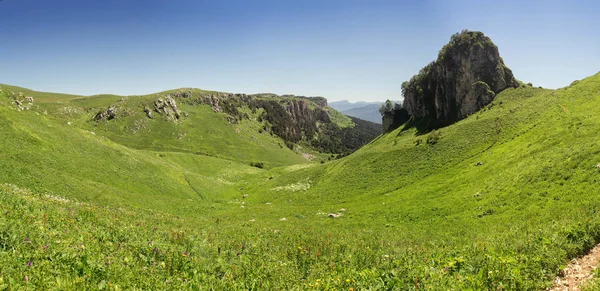 Sonsuz Batı Kafkasya yaz aylarında çim alanlarında ile ünlü Lago-Naki Yaylası — Stok fotoğraf
