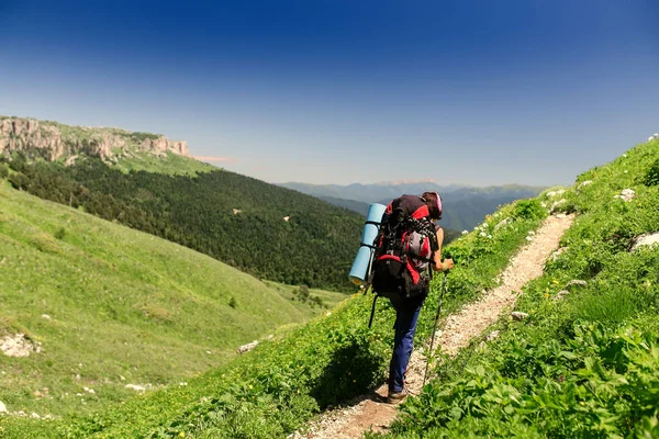 Túrázás a fiatal nő a hátizsák és a túrázás lengyelek a hegyi ösvényen — Stock Fotó