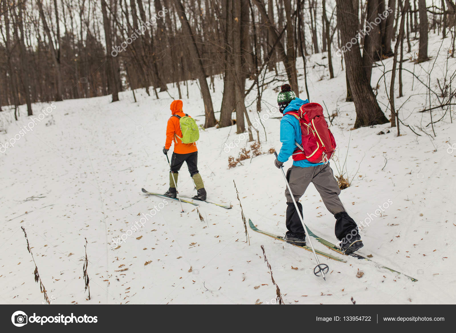 Group cross country skiers with backpacks walking and exercise in the winter forest Stock Photo