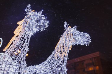 Ufa, Rusya - 3 Ekim 2016. Noel çelenk şeklinde bir kar yağışı sırasında sokakta iki at.