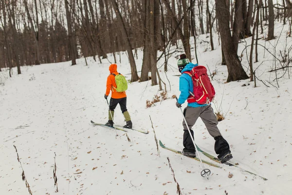 Seskupení běžkaře s batohy procházky a cvičení v zimním lese — Stock fotografie