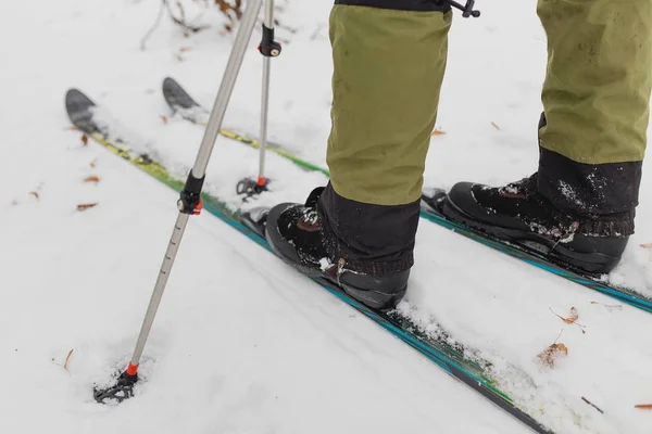 Sífutás téli erdőben. Közelkép a cipőt és a modern műanyag skiis. — Stock Fotó