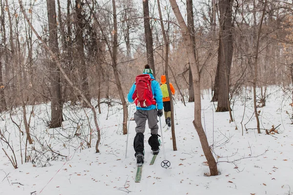 Esquiadores cross country grupo com mochilas caminhando e exercício na floresta de inverno — Fotografia de Stock