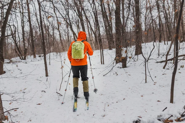 No parque de inverno esquiadores cross country caminhadas em trilhas — Fotografia de Stock