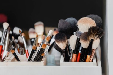 çeşitli makyaj fırçaları, portre