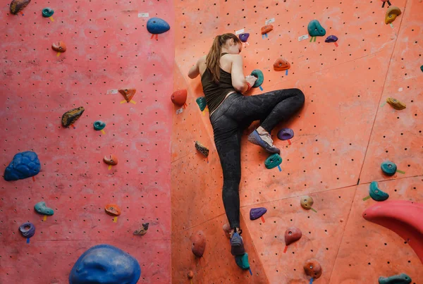 Молодая спортивная мускулистая женщина карабкается по скальной стене в спортзале, вид сзади. Концепция профессионального боулдеринга — стоковое фото