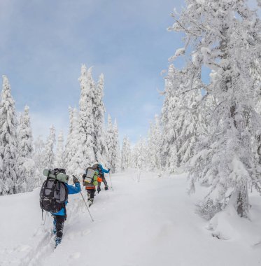 Grup kayakçı kış dağ ve orman içinde bir sırt çantası ile hiking