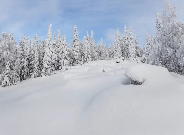 Paisaje invernal con amplios campos de nieve, árboles cubiertos de heladas después de fuertes nevadas —  Fotos de Stock