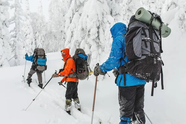 Grupo de esquiadores caminhadas com uma mochila em montanhas de inverno e floresta — Fotografia de Stock
