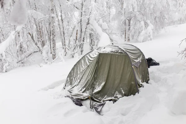 snow covered tent in forest after snowfall storm