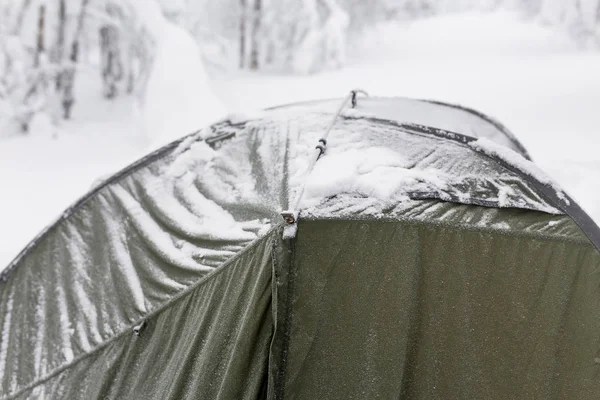 snow covered tent in forest after snowfall storm
