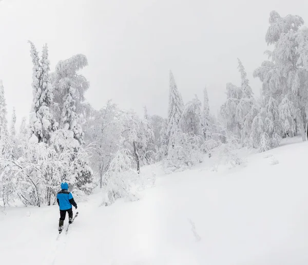 Mladý muž běžeckého lyžování na zimní den v zasněženém lese — Stock fotografie