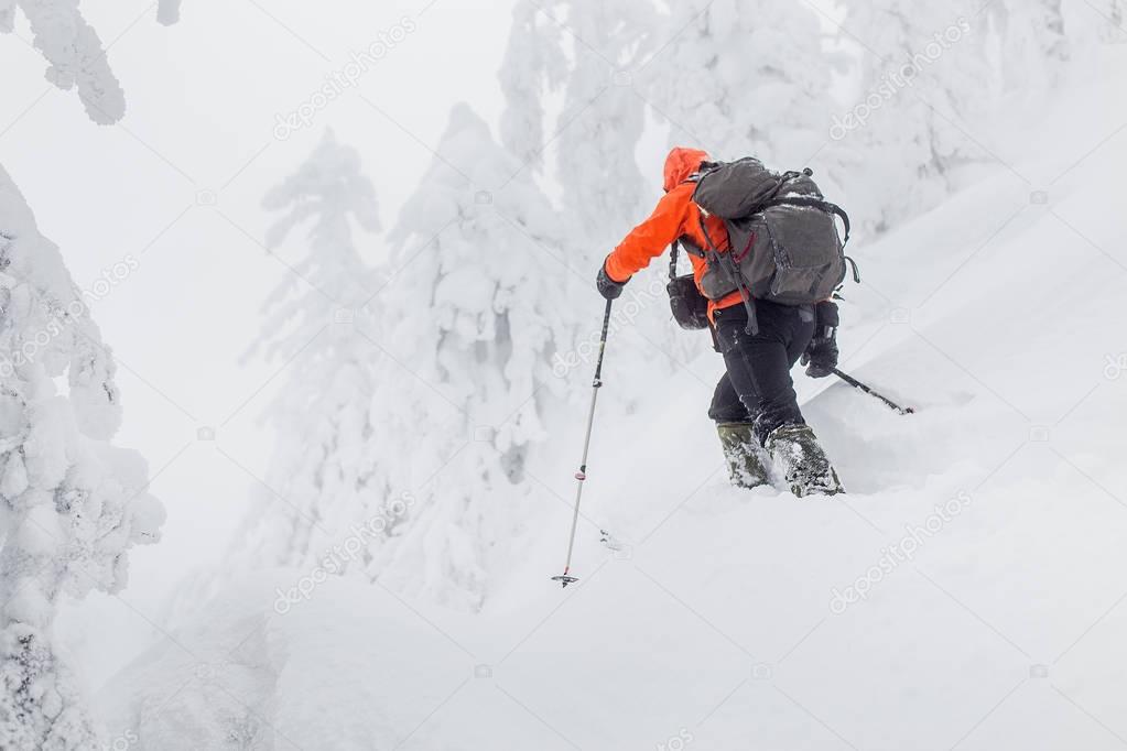 man alone traveling on skis in the snowy winter woods, adventure and recreation concept