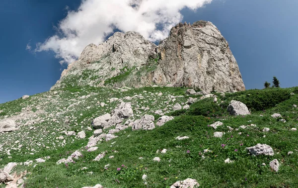 Panorama in the mountains with green grass and a large rock in the center — Stock Photo, Image