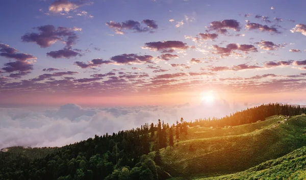 안개와 구름 산 계곡 풍경, 위에서 보기 — 스톡 사진