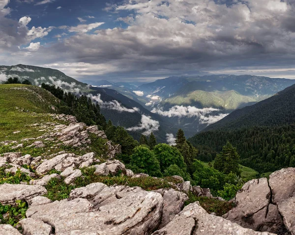 Ottima vista dalla cima della montagna su una scogliera rocciosa con foresta e nebbia — Foto Stock