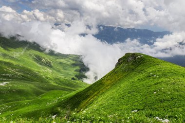 Yaz veya bahar yatay, yeşil tepeler ve dağlar, ağaçlar