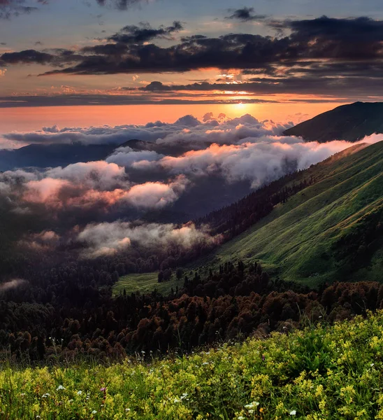 Mountain panoramic forest landscape under evening sky with fog and clouds at sunset. Filtered image — Stock Photo, Image