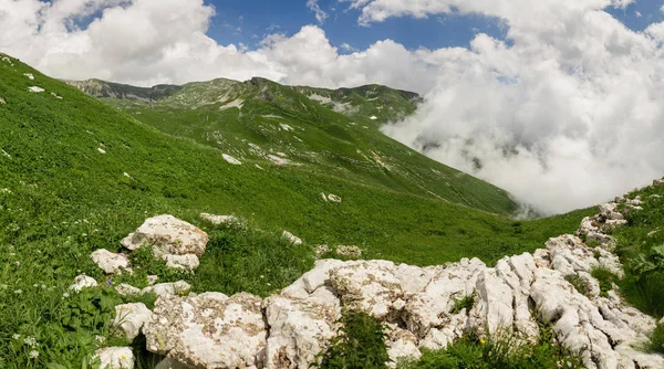 Το γραφικό ορεινό λόφο με ομίχλη και πράσινο πεδία — Φωτογραφία Αρχείου