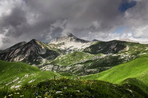 霧と緑のフィールドが美しい山ヒル — ストック写真