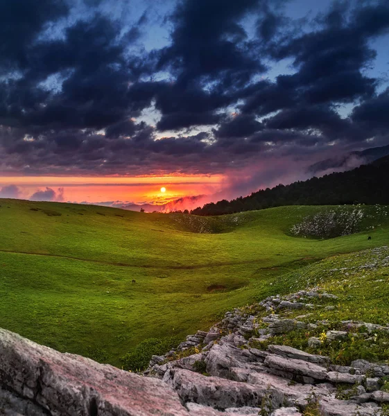 Estate vivido paesaggio in montagna all'alba — Foto Stock