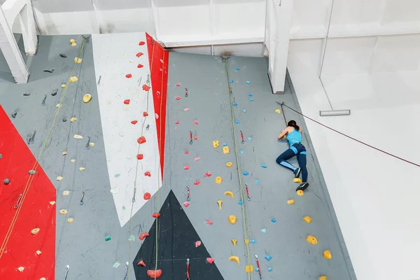 Trent, sporty kvinne ser opp på fjellklatreveggen i gymsalen og trener – stockfoto
