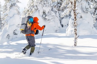 Man Traveler with backpack hiking or skitouring in winter forest landscape into the wild clipart