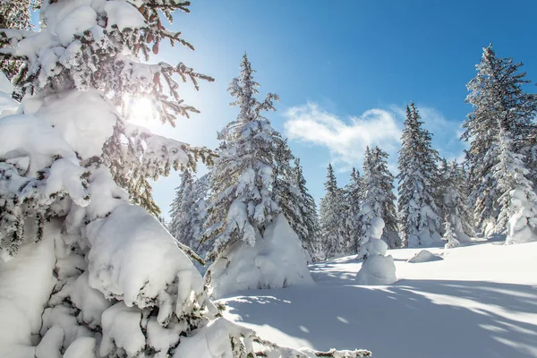 Paisaje con árboles de invierno en montañas cubiertas de nieve fresca — Foto de Stock