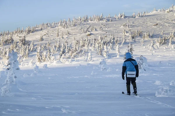 Lone Alpine Touring Esqui caminhadas em florestas de inverno e montanhas — Fotografia de Stock