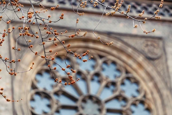 Vitral circular redondo janela na Igreja Gótica Católica na Europa. Religião e conceito de referência — Fotografia de Stock