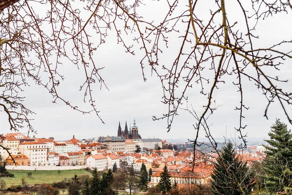 Prag Kalesi ve Saint Vitus Katedrali uzakta Petrin tepeden görüntülemek — Stok fotoğraf