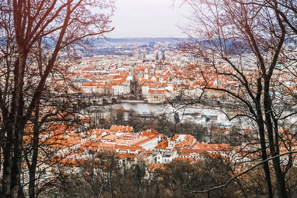 Tele Luchtfoto uitzicht vanaf Petrin-heuvel aan de rode daken van de oude stad van Praag — Stockfoto
