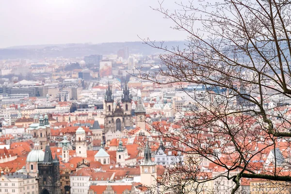 Teleobjektiv letecký pohled z Petřína na červené střechy staré Prahy — Stock fotografie