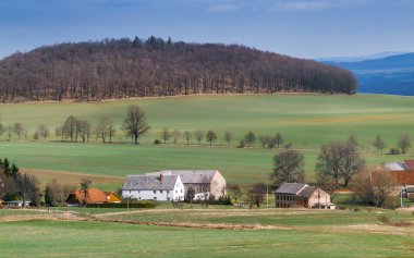 Çayır yeşil çim ve güneşli erken Bahar günü sırasında ağaçlarda Avrupa, tarım kavramı ile