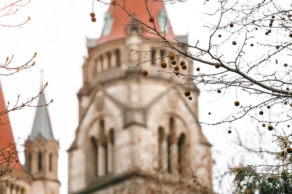 St. Franciskus av Assisi-kyrkan närbild detalj i Wien, Österrike på vintern — Stockfoto